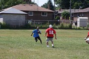 OTFL Gallery Image